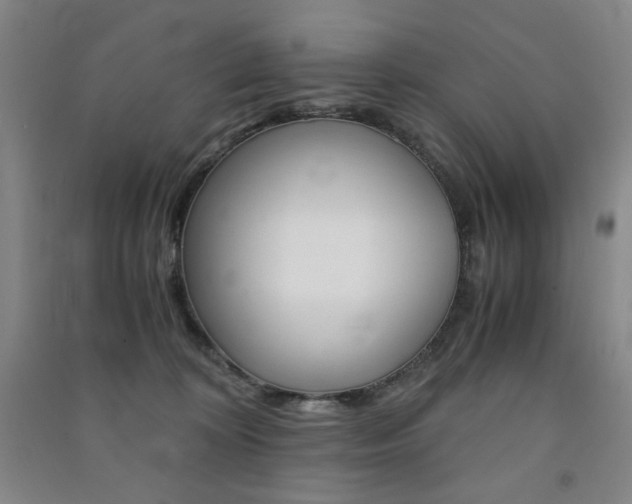 X0000091490324200708161216