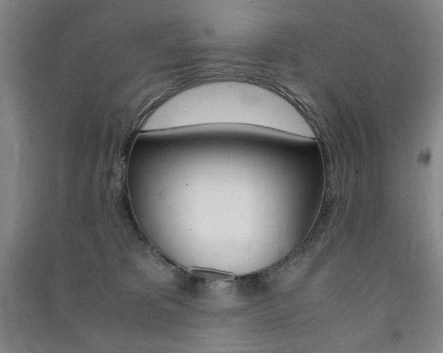 X0000091490325200708161216