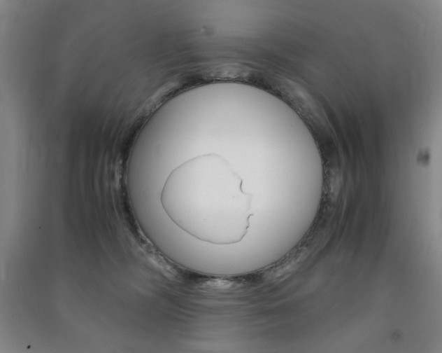 X0000091490326200708161216