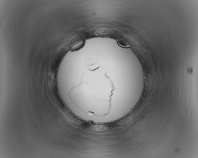 X0000091490327200708161216