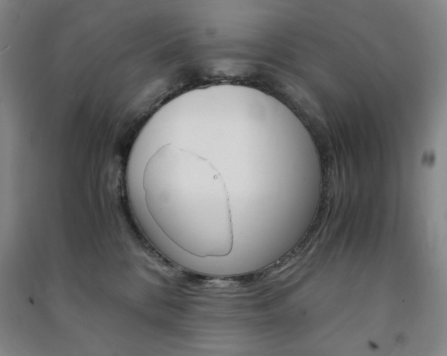 X0000091490328200708161216