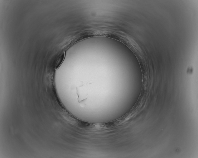 X0000091490329200708161216