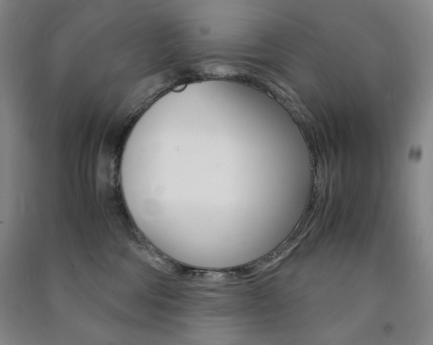 X0000091490330200708161216