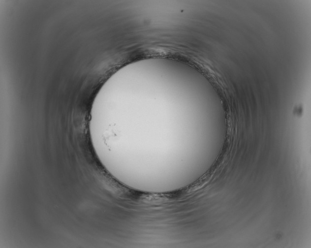 X0000091490331200708161216