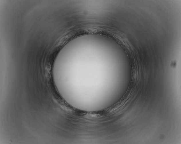 X0000091490332200708161216