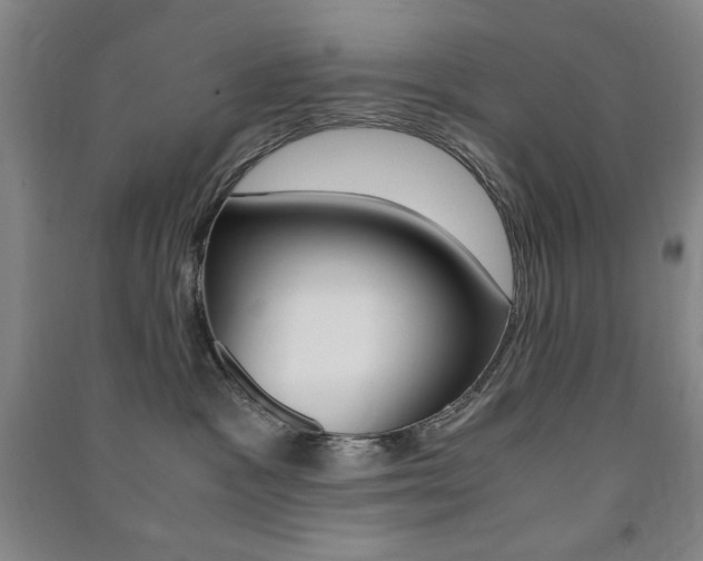 X0000091490333200708161216