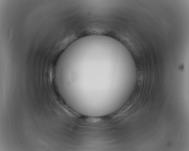 X0000091490334200708161216