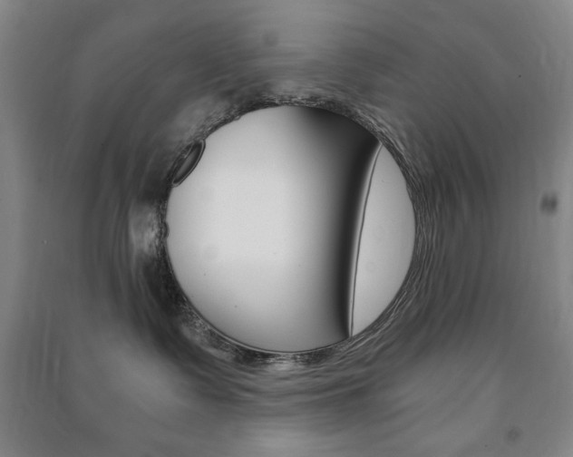 X0000091490335200708161216