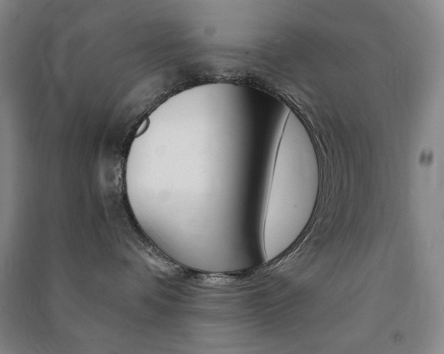 X0000091490336200708161216