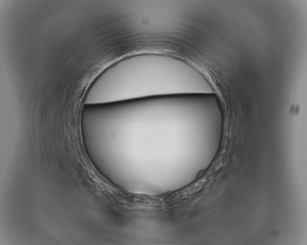 X0000091490337200708161215