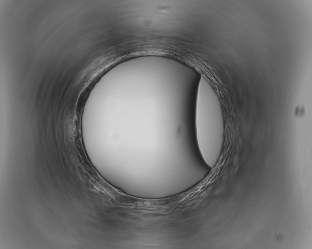 X0000091490338200708161215