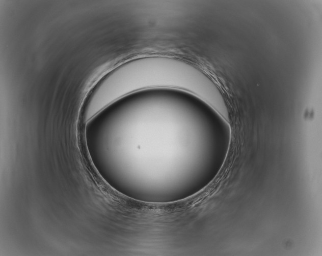 X0000091490340200708161215
