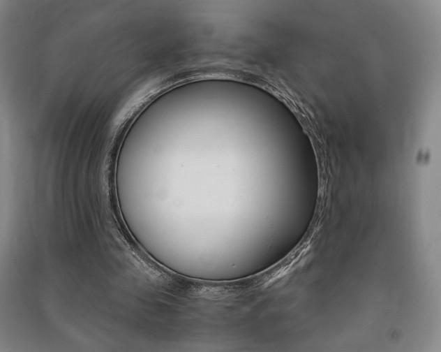 X0000091490341200708161215