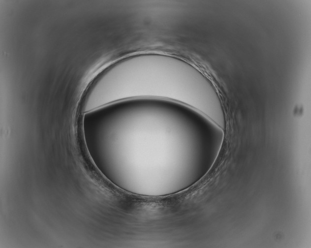 X0000091490344200708161215