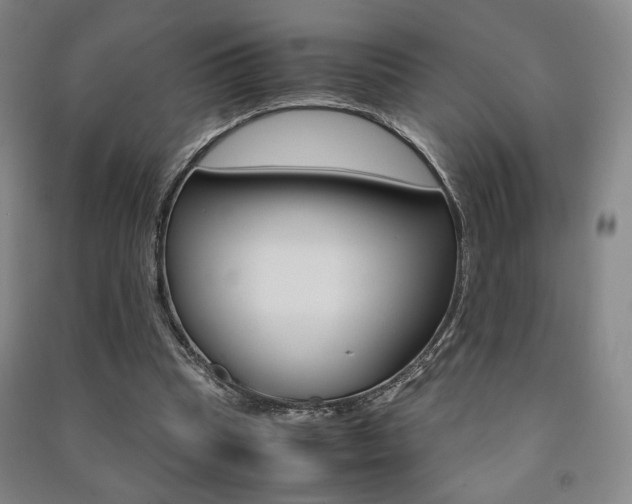 X0000091490345200708161215
