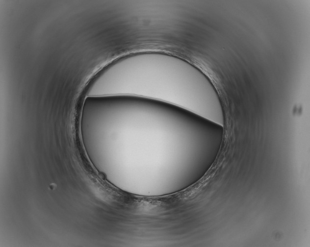 X0000091490346200708161215