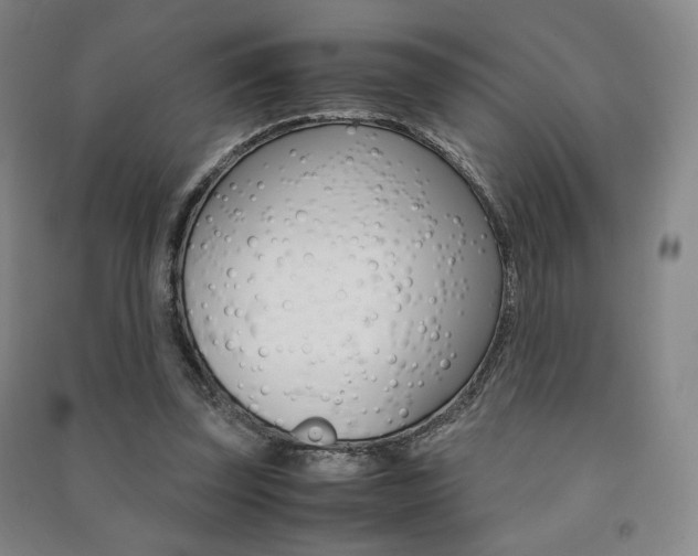 X0000091490347200708161215