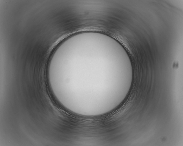 X0000091490348200708161215