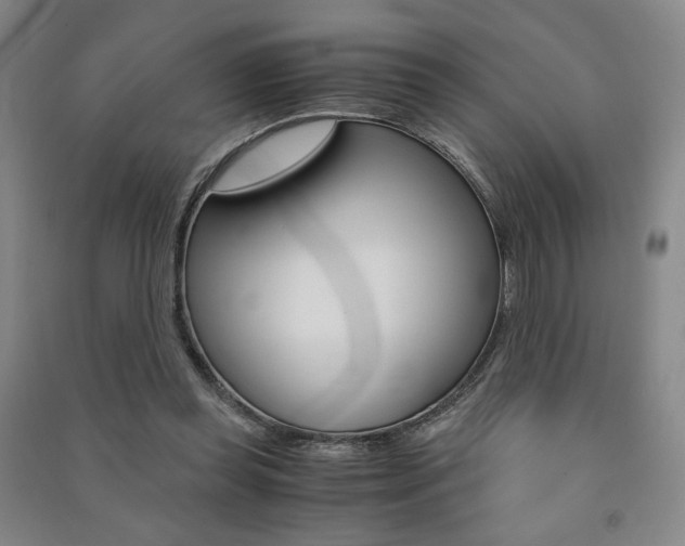 X0000091490349200708161215