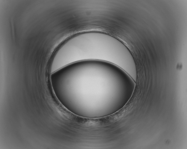 X0000091490350200708161215