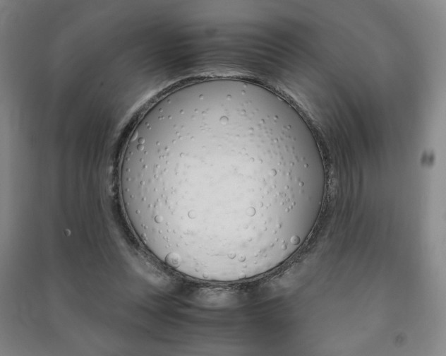 X0000091490351200708161215