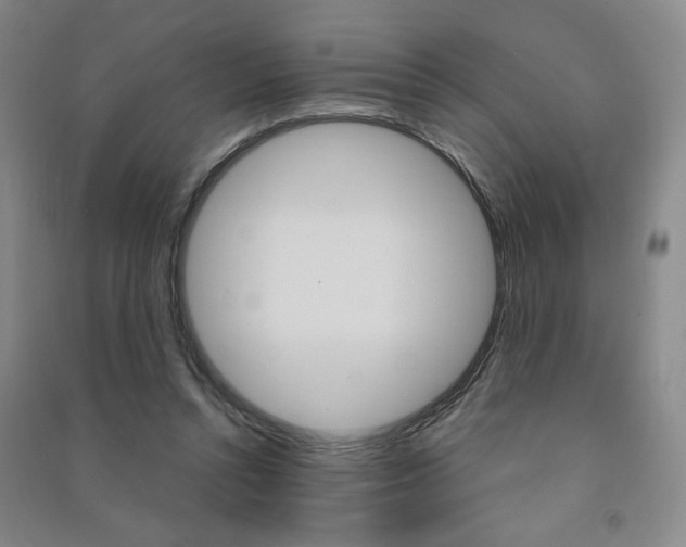 X0000091490352200708161215