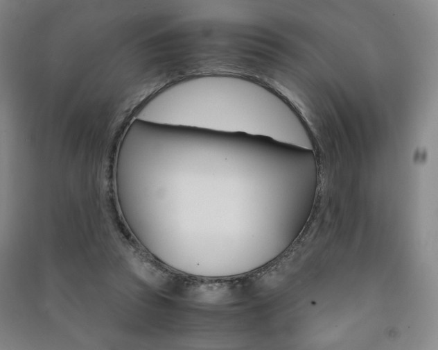 X0000091490353200708161215