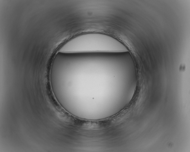 X0000091490354200708161215