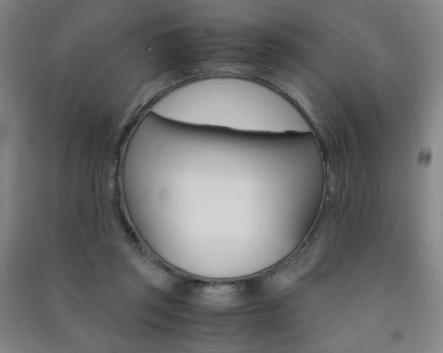 X0000091490357200708161215