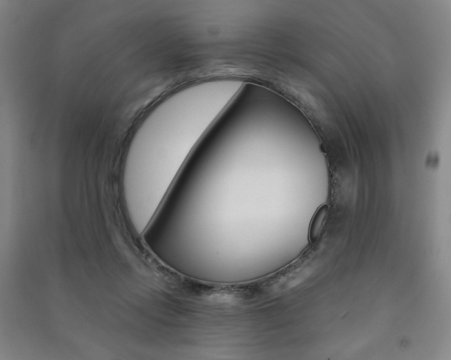 X0000091490358200708161215