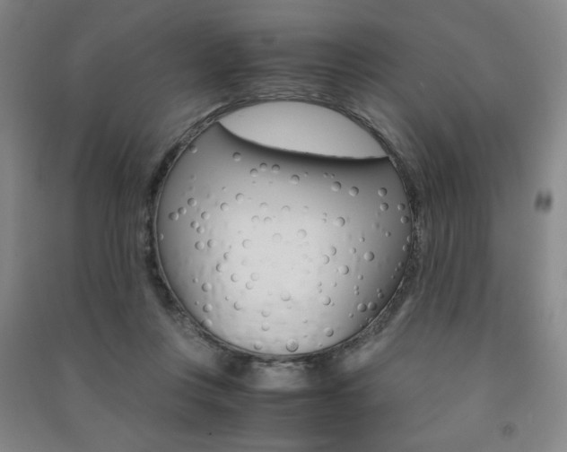 X0000091490359200708161215
