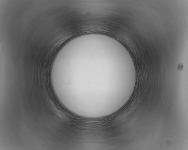 X0000091490360200708161215