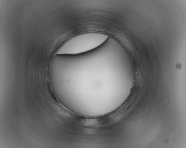 X0000091490361200708161215