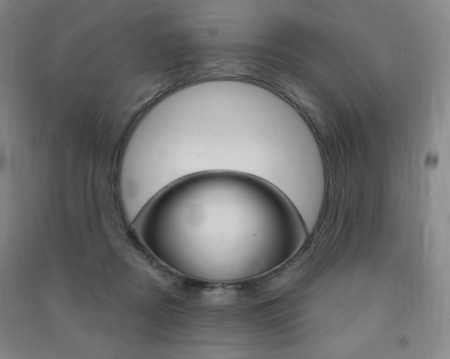 X0000091490362200708161215