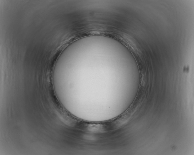 X0000091490363200708161215
