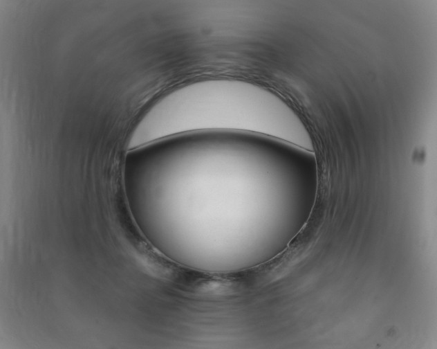 X0000091490364200708161215