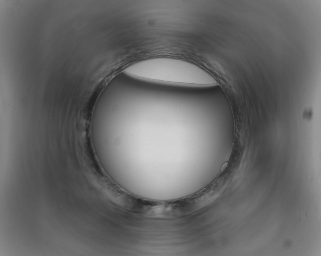 X0000091490366200708161215