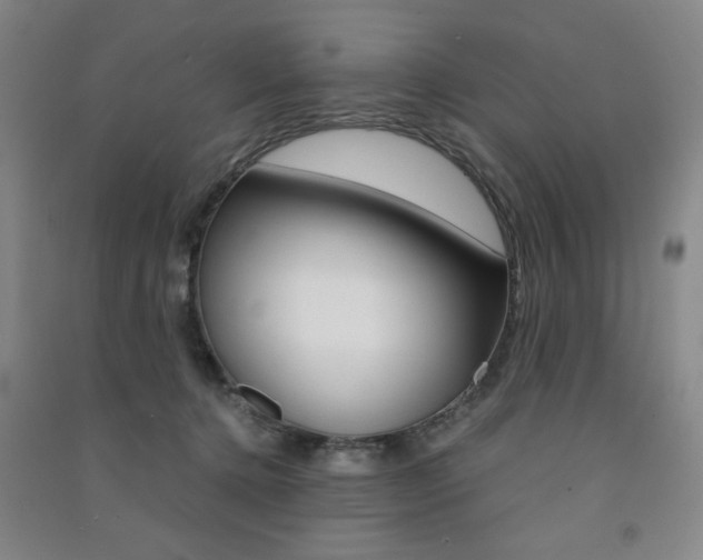 X0000091490368200708161215