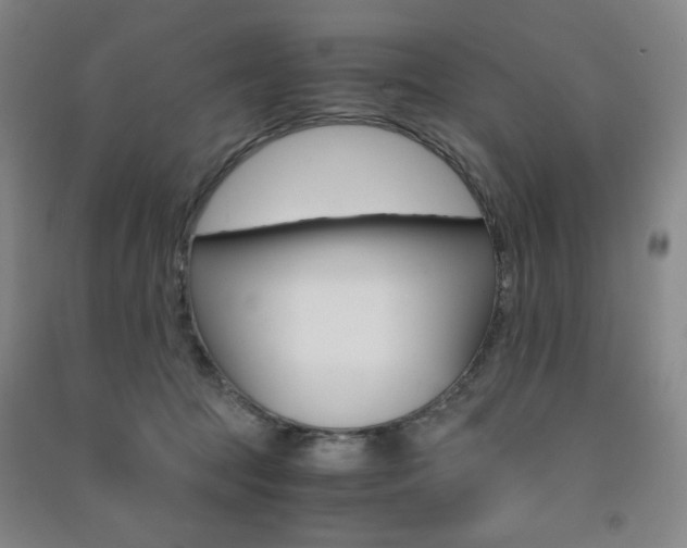 X0000091490369200708161215