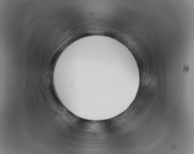 X0000091490370200708161215