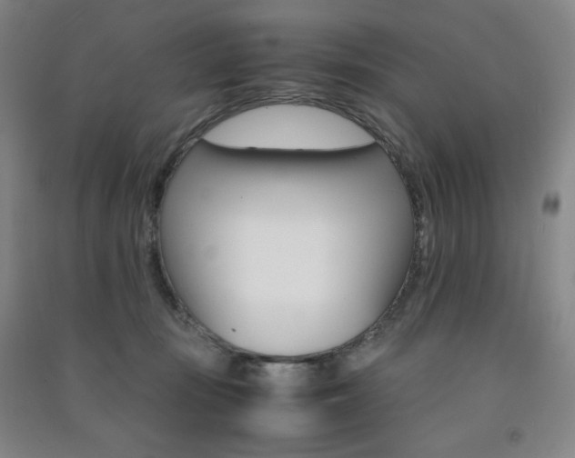 X0000091490371200708161215