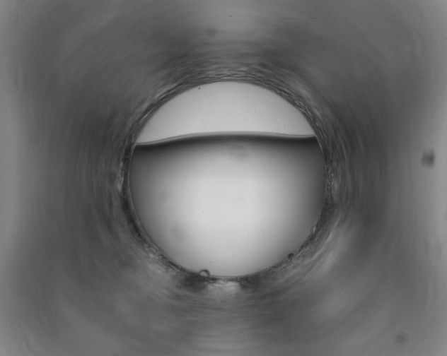 X0000091490374200708161215