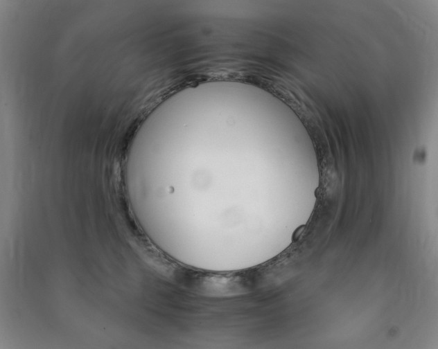 X0000091490375200708161215