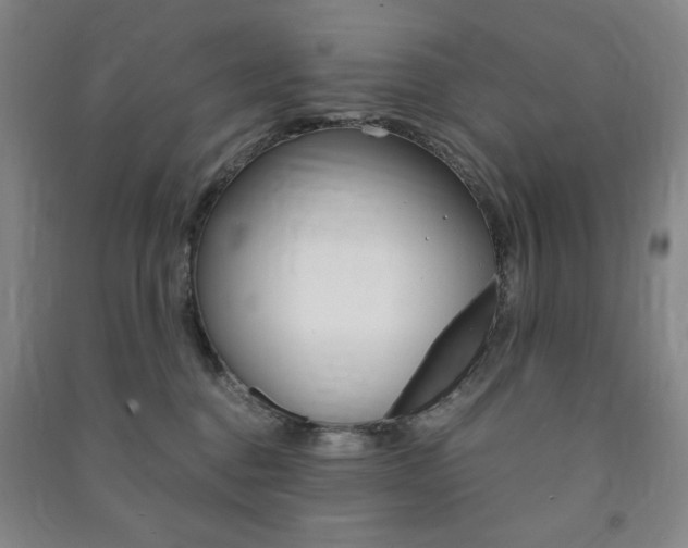 X0000091490376200708161215