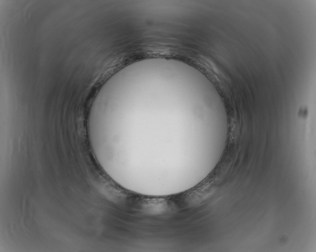 X0000091490377200708161215