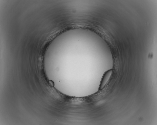 X0000091490378200708161215