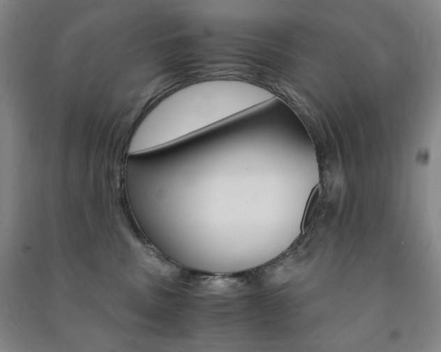 X0000091490379200708161215