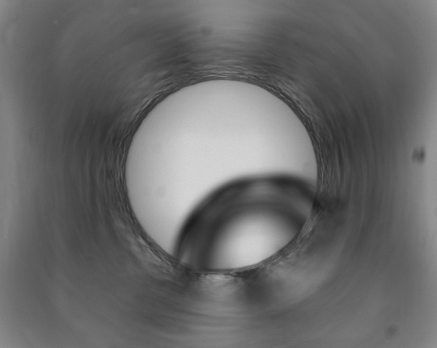 X0000091490380200708161215