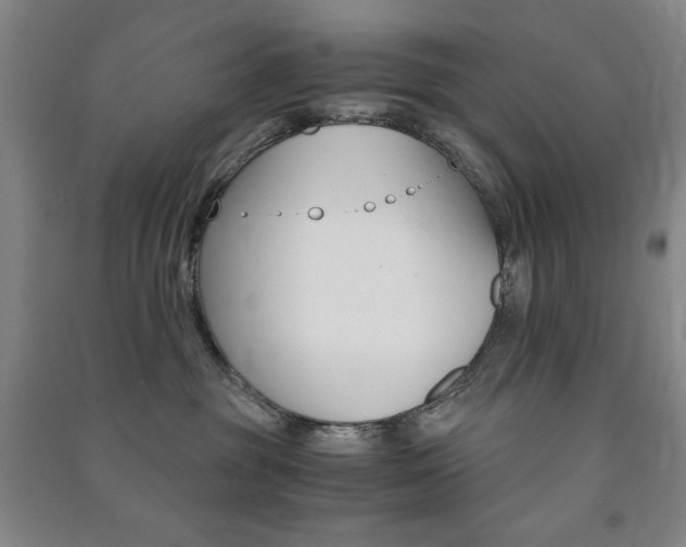 X0000091490381200708161216