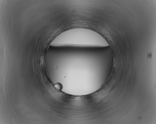 X0000091490382200708161216